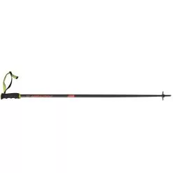 Fischer RC4 The Curv AL Ski Poles 2020
