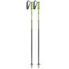 Leki Rider Kid's Ski Poles 2023