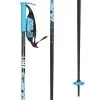 Line Wallischtick Ski Poles 2023