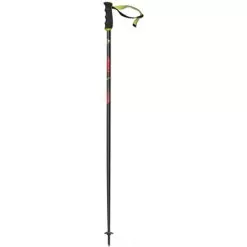 Fischer RC4 The Curv AL Ski Poles 2019