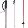 L9 Sports Junior Ski Poles 2022