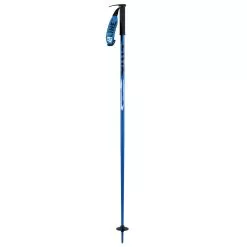 Line PIN Ski Poles 2021