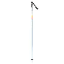 Scott Sun Valley Ski Poles 2023